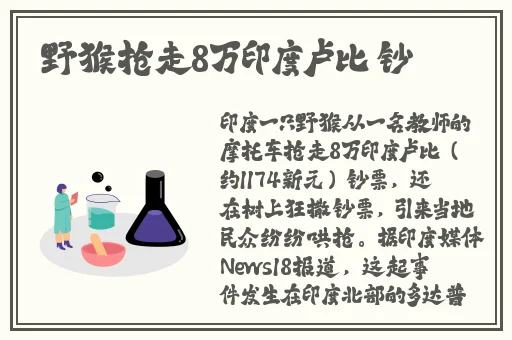 伊甸新东方直飞2029直达入口